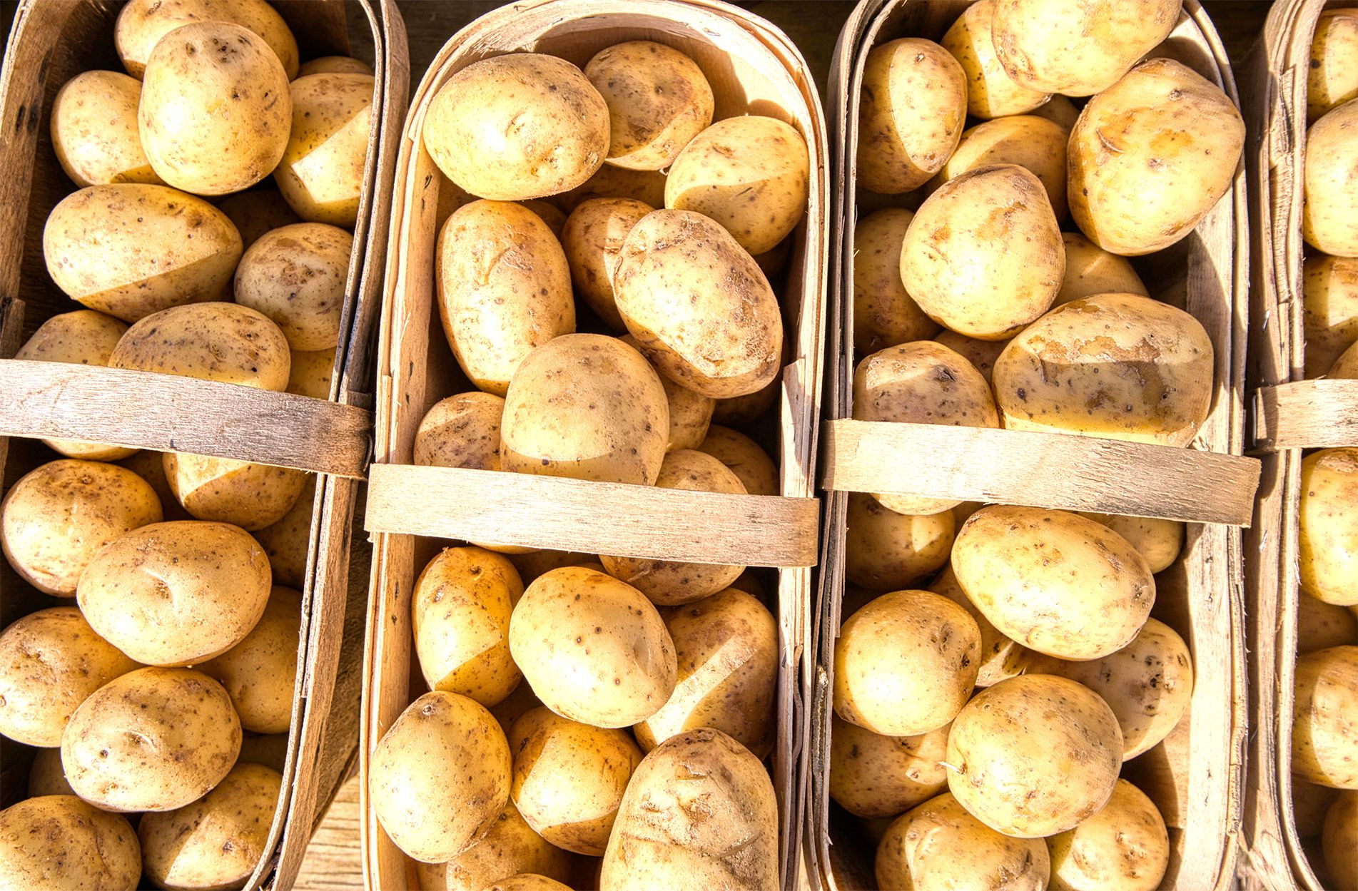 Tus patatas de confianza